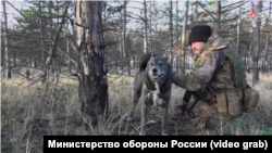 Російський військовий на Кінбурнській косі, фото ілюстративне