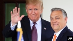 Дональд Трамп и Виктор Орба