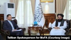 The EU's special envoy for Afghanistan, Tomas Niklasson, met the Taliban's acting foreign minister, Mawlawi Amir Khan Muttaqi, in Kabul in May.
