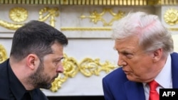 Доналд Трамп ва Владимир Зеленский.