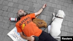 Илустрација, архивска фотографија, демонстрант протестира против Лондонскиот саем за оружје