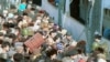 Армянские беженцы пытаются покинуть Баку, 23 января 1990 г. 