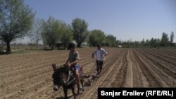 "Азаттыктын" кабарчысы да соко тартып көрдү.