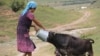 Kyrgyzstan-Ysyk-Kol, Karkyra, 30 July 2015