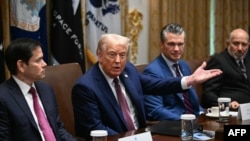 Дональд Трамп и члены его правительства