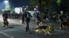 «Нельзя противопоставлять милицию народу»